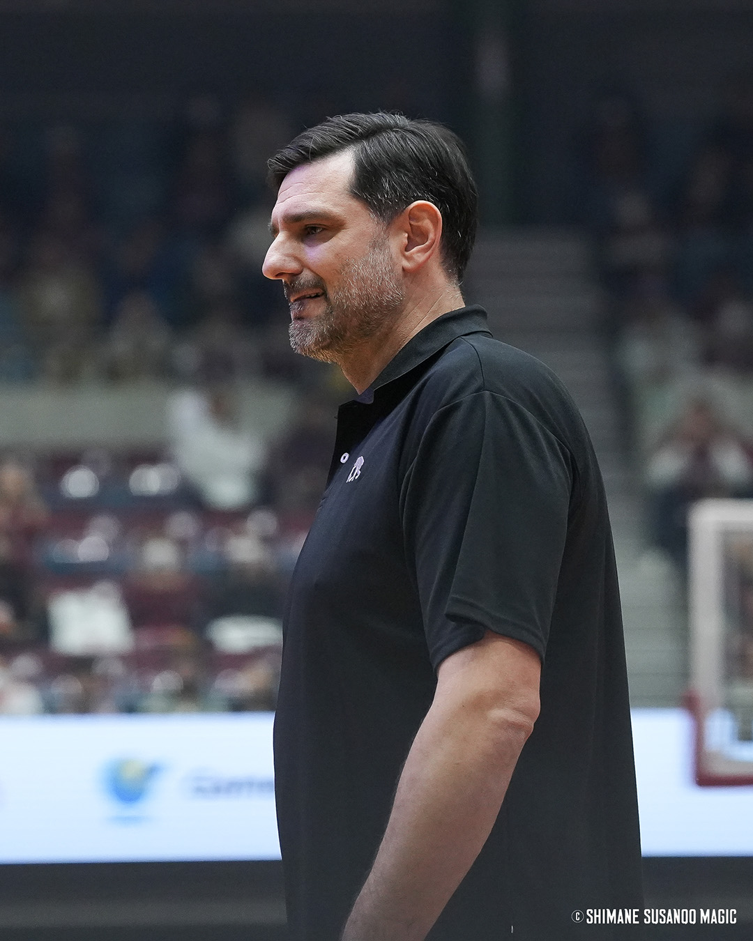 ナポリンゴ大佐 Borneo Giant Elephant Ear - Alocasia macrorrhiza – Wellspring Gardens